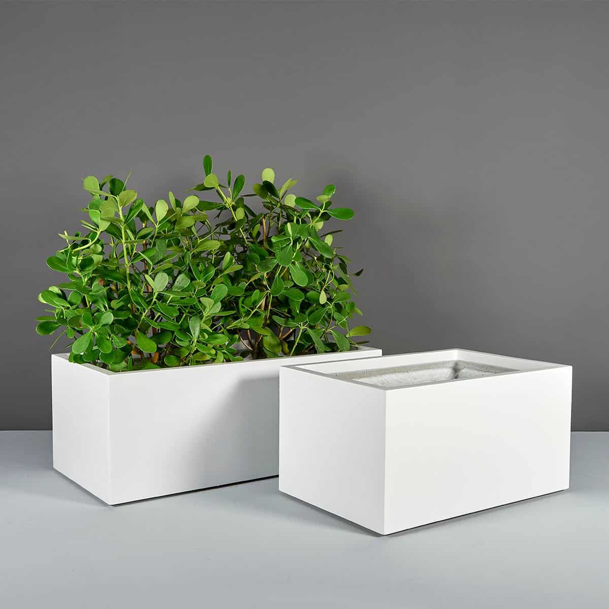 Maceta rectangular ancha Torino